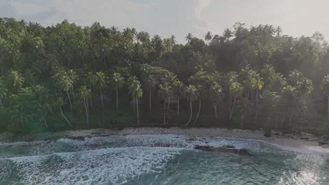 OCEAN 43 Stock Footage 297729444