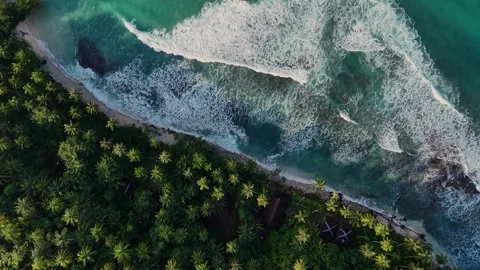 OCEAN 49 Stock Footage 297725077