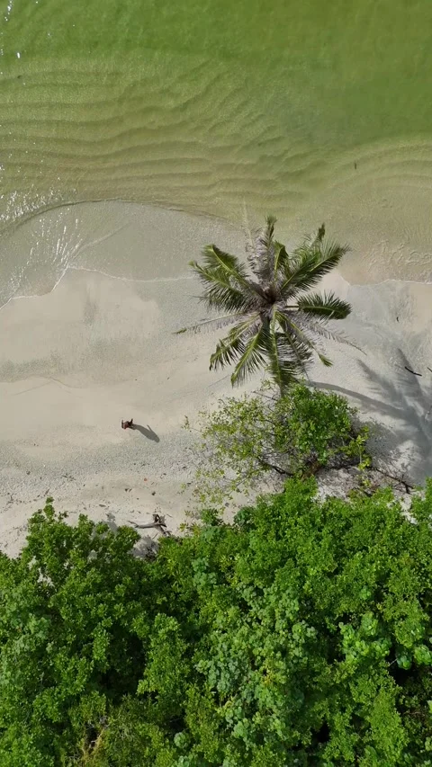 OCEAN 61 Video stock 297721471