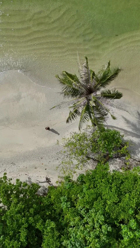 OCEAN 62 Stock-Footage 297721592