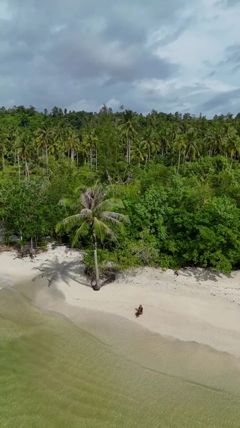 OCEAN 63 Stock Footage 297725693