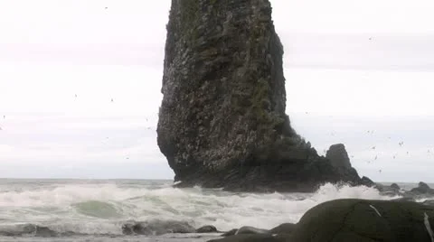 Ocean 7 Stock Footage 11575554