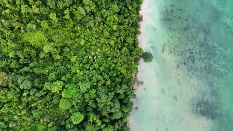 OCEAN 7 Stock Footage 297722760