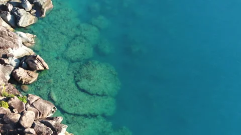 OCEAN AER STING Stock Footage 244767935