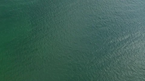 The ocean, aerial top down view flyig above turquoise colored sea water Stock Footage 163534055