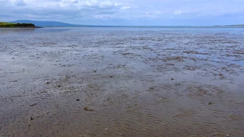Ocean after low tide sand near the shore Stock Footage 230171524