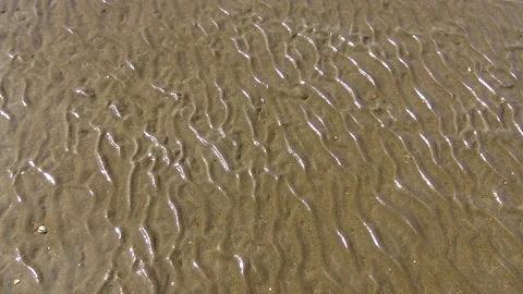 Ocean after low tide sand near the shore Stock Footage 230172289