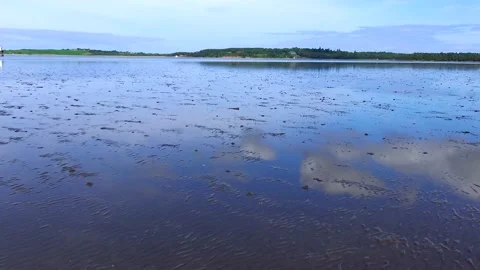 Ocean after low tide sand near the shore Stock Footage 230172291