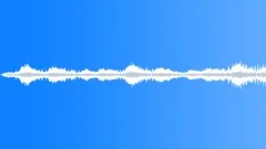 Ocean Ambient Waves (Seagulls) Sound Effect