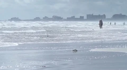 Ocean and beach Video stock 21221354