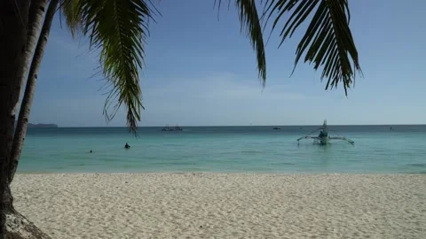 Ocean and Beach with a Palm tree Video stock 213043331