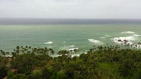 Ocean and palm trees. Sri Lanka. Stock Footage 201171028