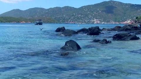 Ocean and Seagull Stock Footage 76912378