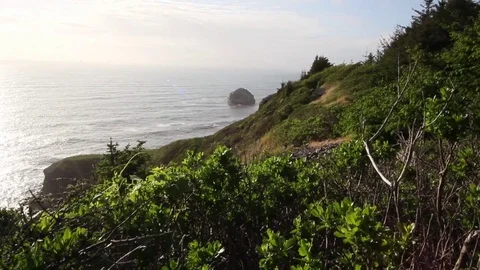Ocean and steep hill Stock Footage 81157544