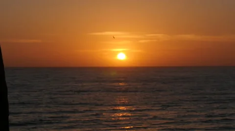 Ocean and sunset, couple of hands Stock Footage 51524596