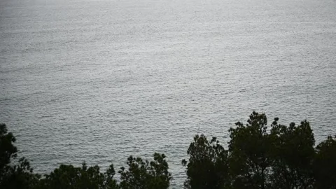 Ocean and trees Stock Footage 326450723