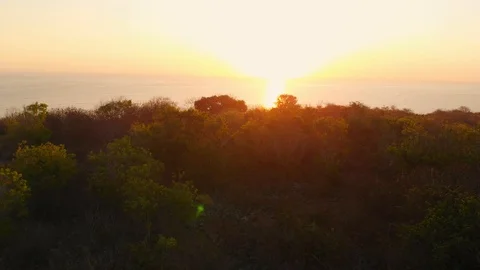 Ocean and trees  at warm sunset or sunrise. Aerial view Stock Footage 112287661