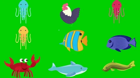 Ocean animals on green screen featuring jellyfish seahorse lobster octopus Stockbeeldmateriaal 334704324