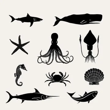 Ocean Animals Stock Illustration