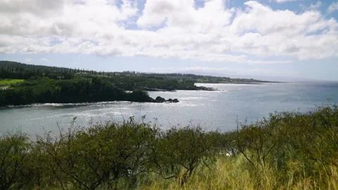 Ocean in background with grass swaying in wind in foreground 4k Stock Footage 235580271