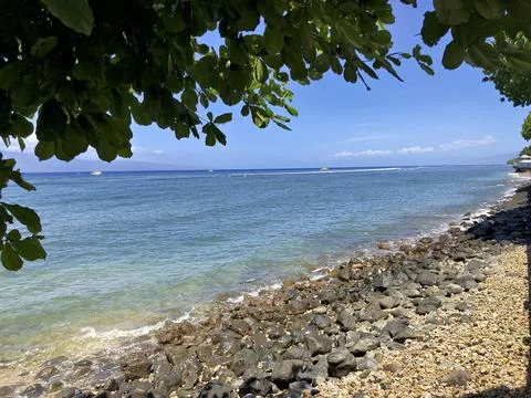 Ocean Bay View Framed by Tree Branches and Rocky Shoreline Stock Photos