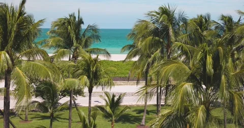 Ocean Beach and Palm Trees View On Ocean Drive Miami, Florida Video stock 200848608