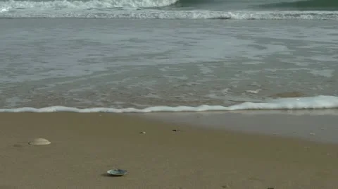 Ocean beach Stock Footage 20567193