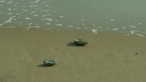 Ocean beach Stockbeeldmateriaal 20599149