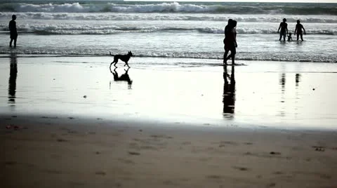 On the ocean beach Stock Footage 22142352