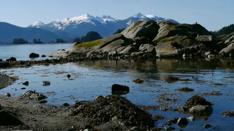 Ocean beach Video stock 93782221