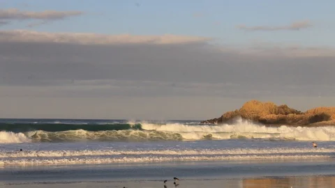 Ocean beach Stock Footage