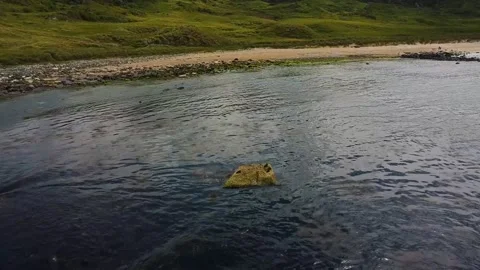 Ocean beach Video stock 211804009