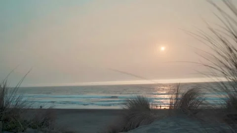 Ocean Beach Video stock 242205629