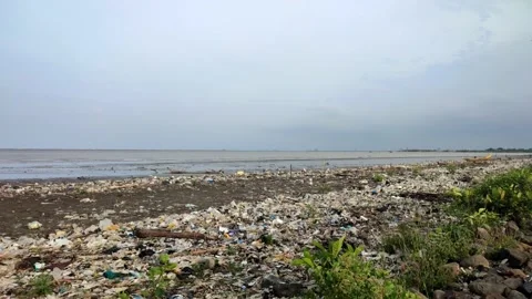 Ocean Beach Full Of Garbage Stock Footage 230701179