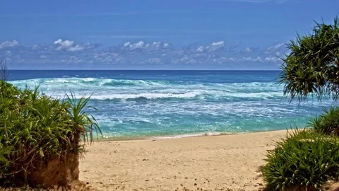 Ocean beach with green trees Stock Footage 76891524