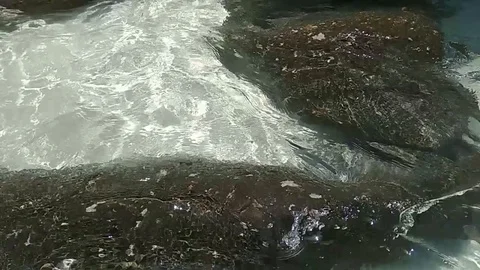 Ocean beach, Phi Phi islands, Thailand, green clear sea water and rocks. Stock Footage 88264702