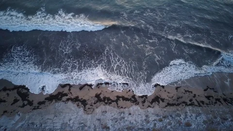 Ocean beach with seaweed Video stock 85521366