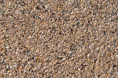 Ocean beach shells Stock Photos