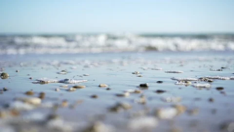 Ocean beach slow motion - close up shot on the sand Stock Footage 95938361