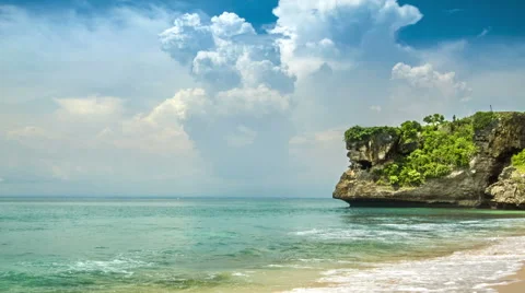 Ocean beach with trees on rock Video stock 63130732