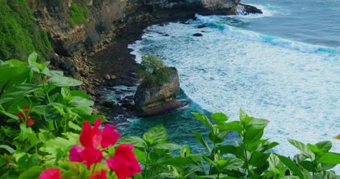 Ocean beach waves foam crash on tropical green rocky shore with pink flowers in Video stock 232726010