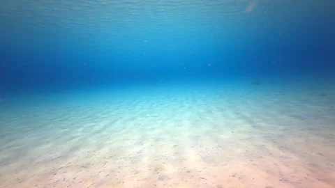 Ocean bed underwater Stock Footage 317188232