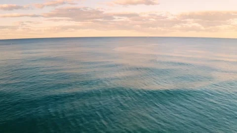 Ocean birds waves Stock Footage 269212940