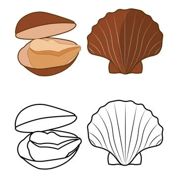 Ocean bivalve shell flat and outline illustrations Stockillustratie
