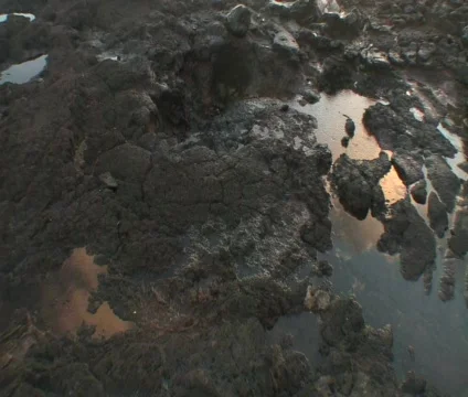 Ocean Blowhole Vídeo Stock 356950