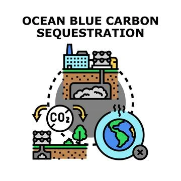 Ocean blue carbon sequestration reducing global emissions Stock Illustration