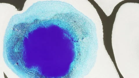 Ocean blue particles and fluid flowing on white background, Abstract Video stock 134856031