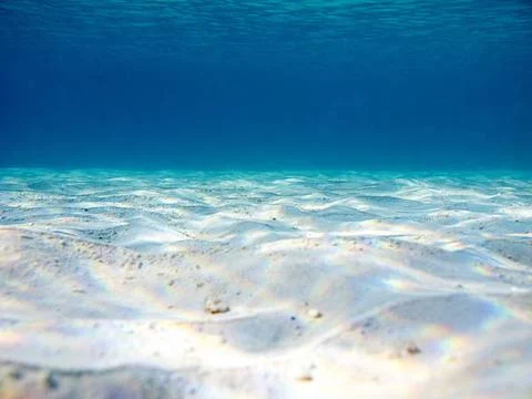 Ocean bottom bottom of the atlantic ocean near the shote Copyright: xZoona... Stock Photos