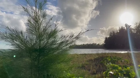 Ocean breeze Video stock 233999152