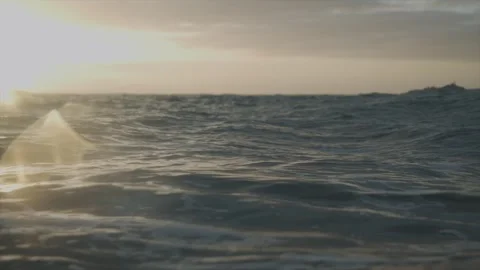 The ocean is calm and the sun is setting Stock Footage 298268757